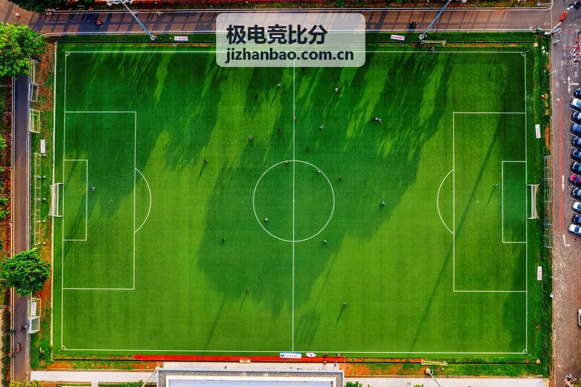 Tundra Esports队标